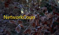 NetworkCountersWatch(网络接口系统计数助手) 1.0 绿色汉化版